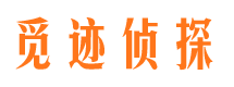 武清市私家侦探